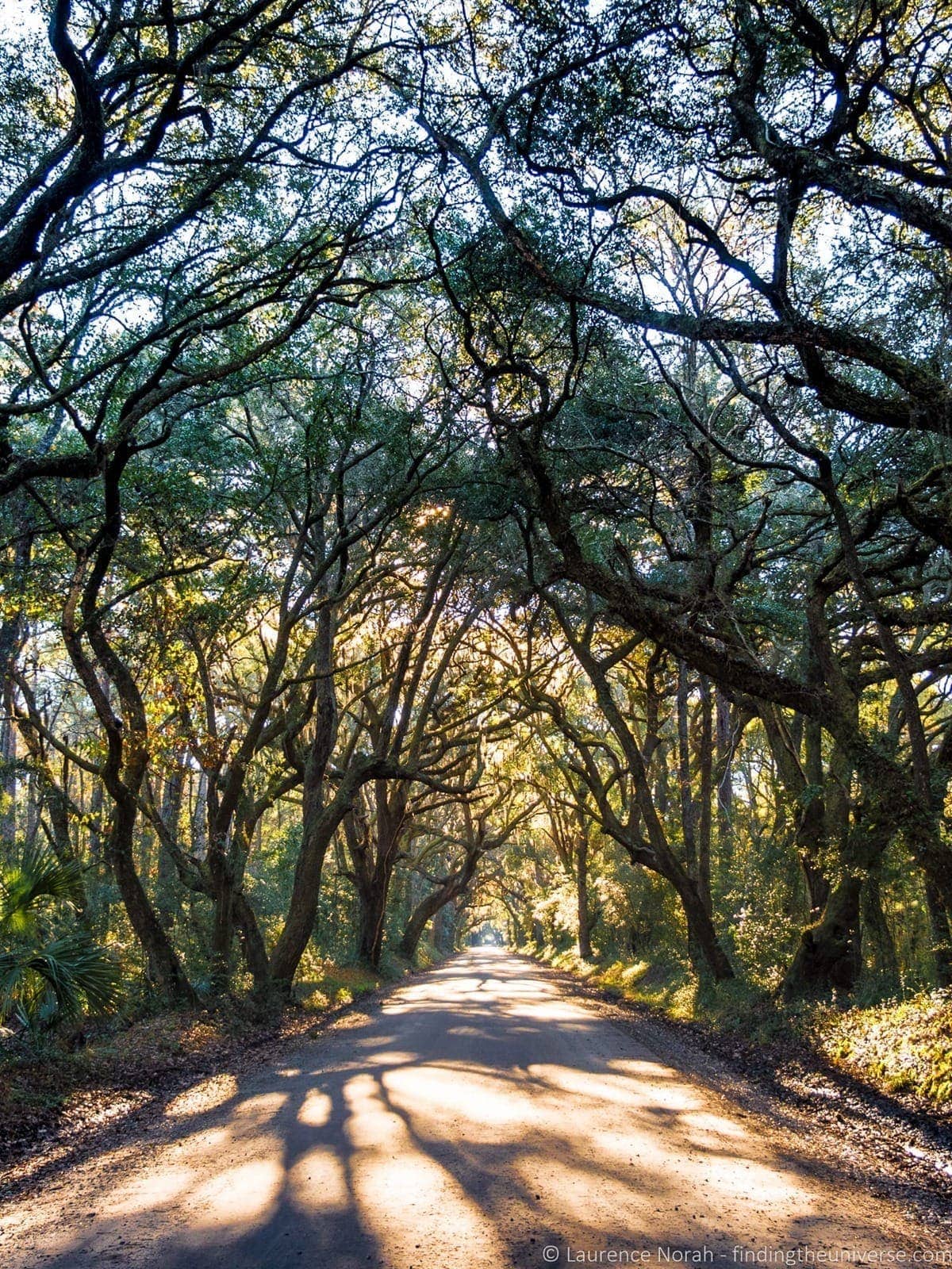 Oak avenue Botany Bay Charleston