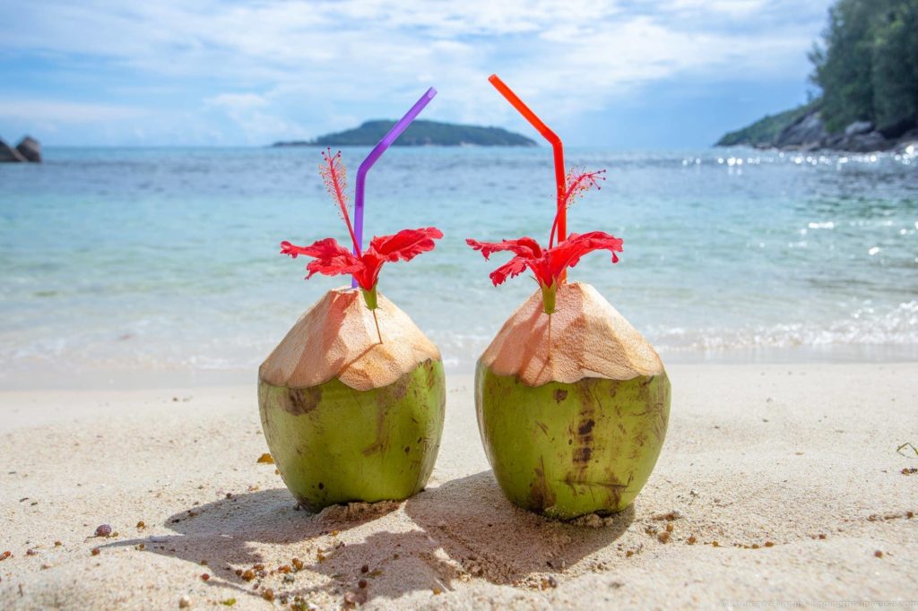 Coconuts on beach Mahe seychelles