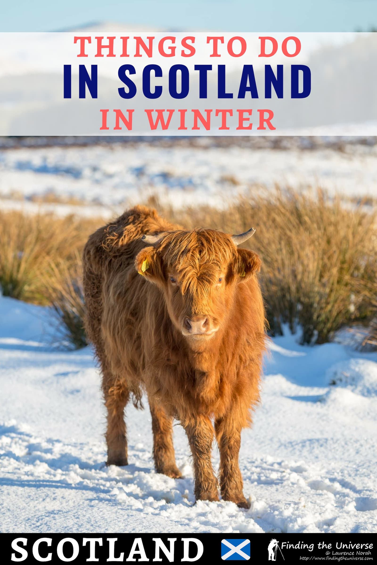 Everything you need to know about visiting Scotland in Winter, from what to do through to what to pack and tips for planning your trip. #travel #scotland #traveltips #uk #winter