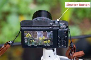 How to Use a Point and Shoot Camera - A Detailed Guide to Compact ...