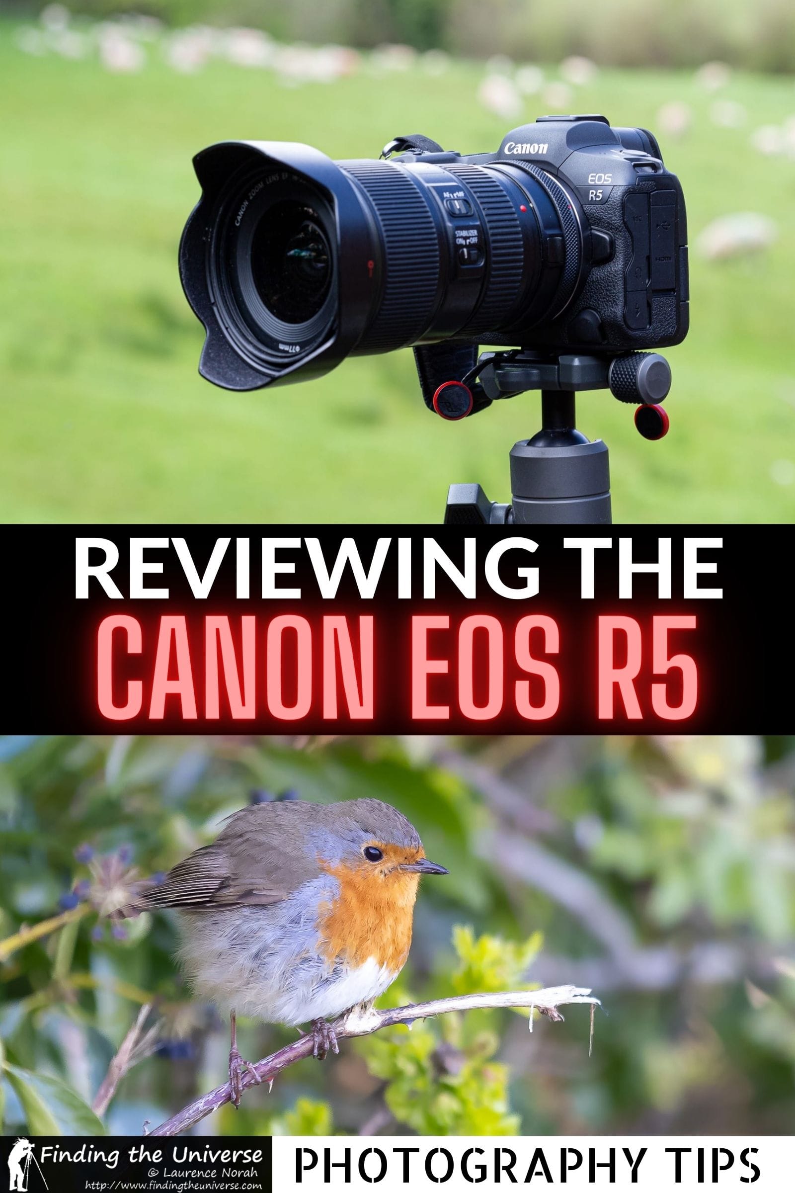 Canon EOS R5: Full Mirrorless Camera Review