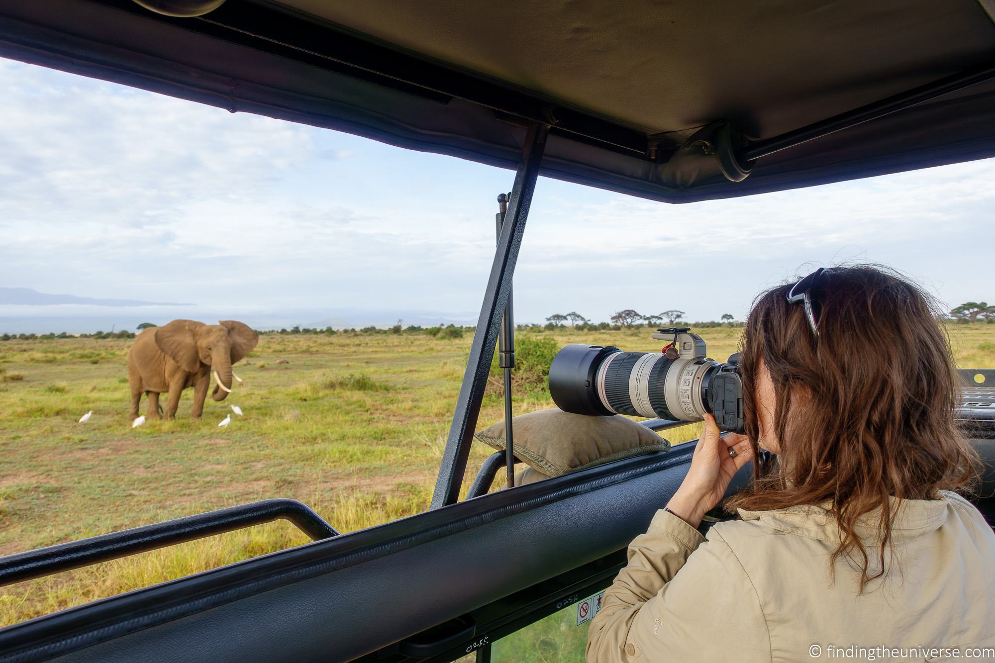 The Best Safari Camera, Lenses Accessories How to Photography Plus Choose and 