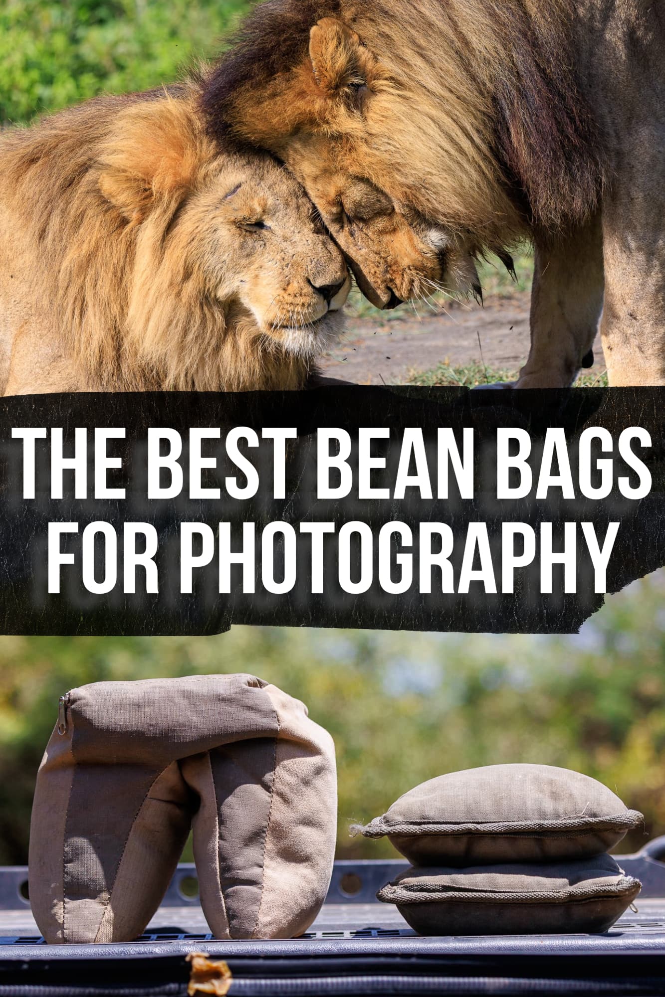 The 13 best beanbag chairs of 2023